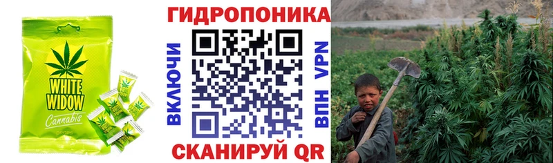 Cannafood конопля купить наркотики сайты Фатеж